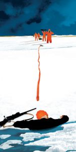 Rescue Efforts Halted for Stranded Humpback Whale in Baltic Sea